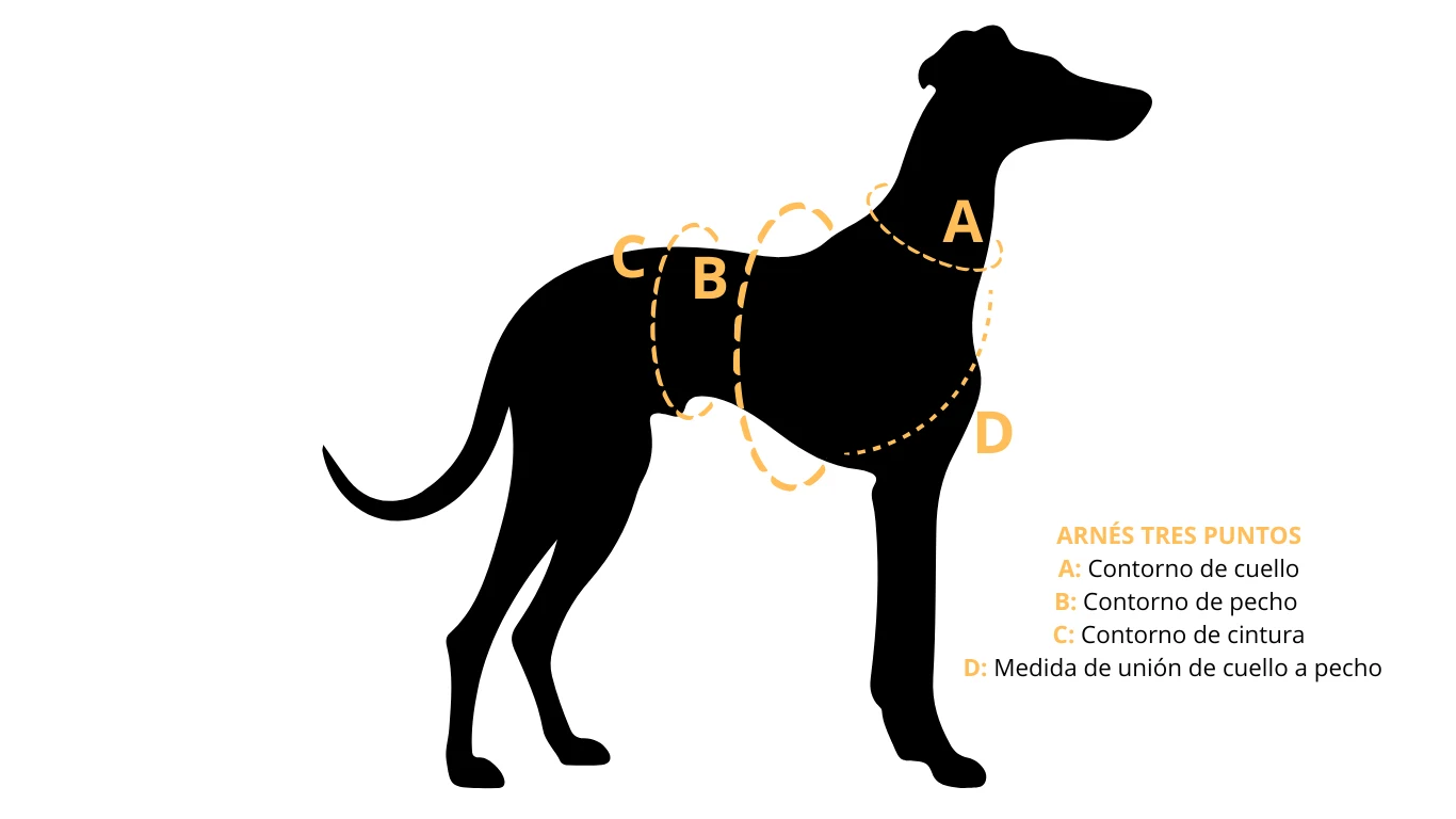 Cómo medir a tu perro para un arnés de tres puntos: contorno de cuello, de pecho, de cintura y medida de unión de cuello a pecho