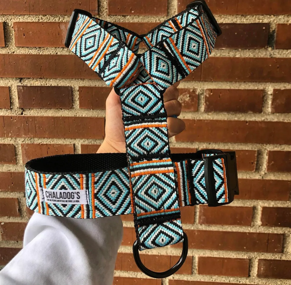 Arnés Colección Nesca Turquesa